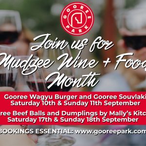 Gooree Beef Balls and Dumplings