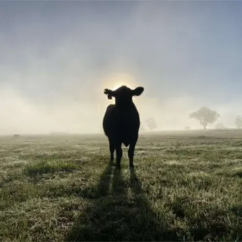 ExperienceGooree-37-200x133-1