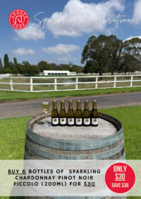 Sparkling Celebration Promo -  6 Piccolos (200ml)