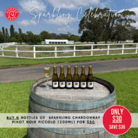 Sparkling Celebration Promo -  6 Piccolos (200ml)