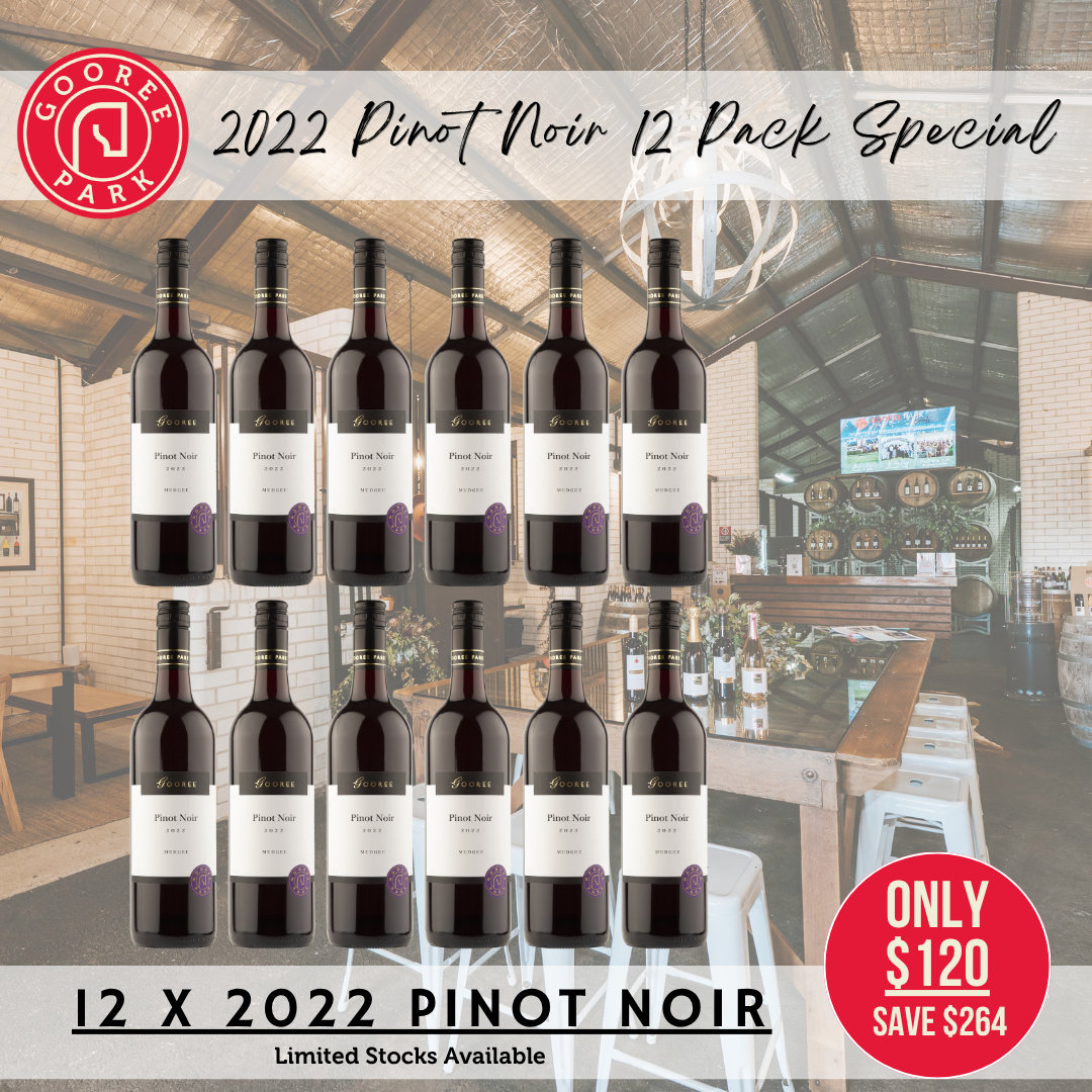 2022 Pinot Noir 12 Pack Special